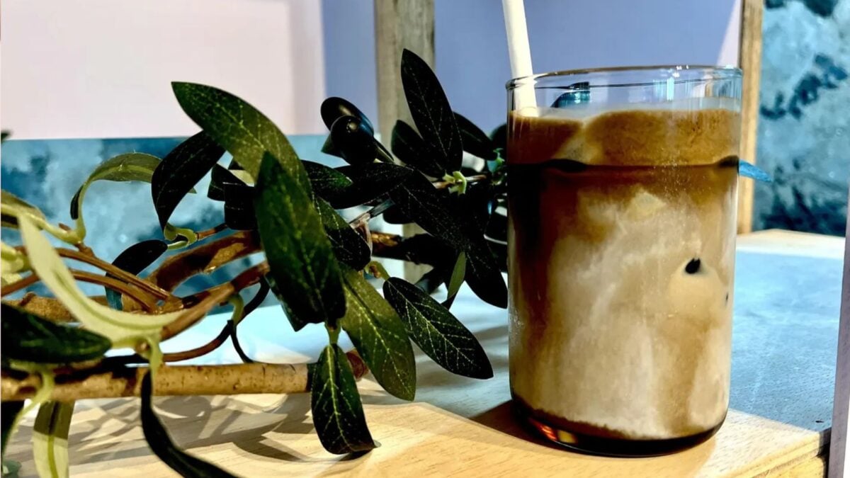 Wild Orchard Tea Faz Parcerias para Colocar no Mercado o Pioneiro Chá Preto Matcha