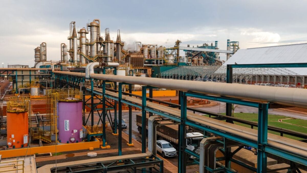 BNDES Aprova R$ 150 Milhões para Inovação e Expansão do Grupo Cerradinho