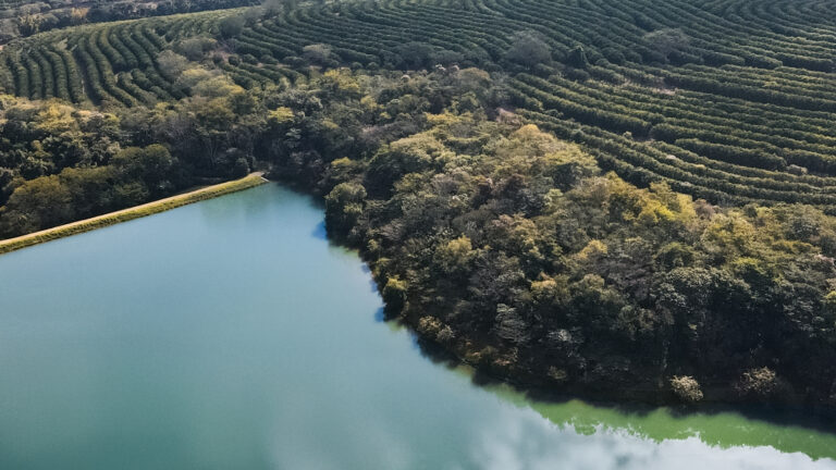 Com 6 milhões de metros quadrados, o novo projeto de alta renda no interior de São Paulo aposta em infraestrutura esportiva e preservação ambiental