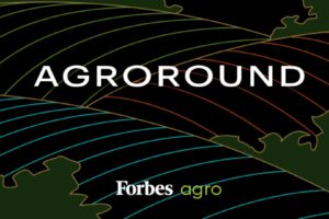 Produção de Ração Animal Deve Superar 98 Milhões de Toneladas em 2026; Veja os Destaques do Agroround