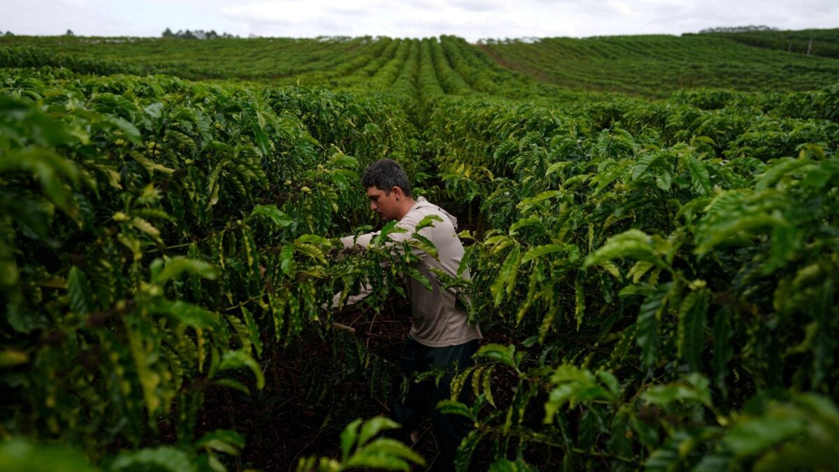 Imagem da matéria publicada por Forbes Brasil