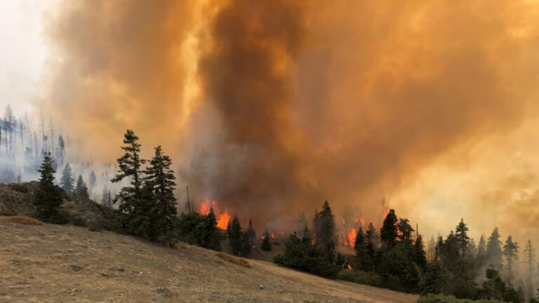 A fumaça de incêndios no Canadá afetou cerca de 100 milhões de americanos e levantou preocupações sobre a qualidade do ar dentro de casa