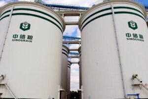 Sinograin Vende 77% da Soja Importada em Leilão, Aponta Mysteel