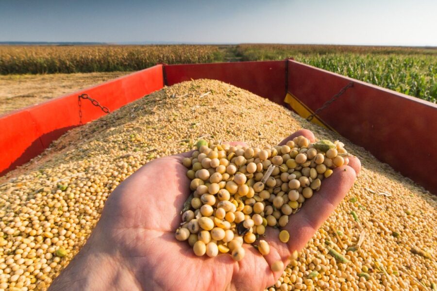 BB Prevê Melhora nas Provisões do Agro com Apoio de Medida Provisória