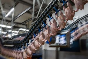 MBRF Adota Contratos a Termo em Grãos para Mitigar Impactos do El Niño