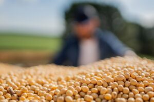 Caixa Sinaliza Fim da Alta na Inadimplência Agro em 20,74% no Segundo Trimestre