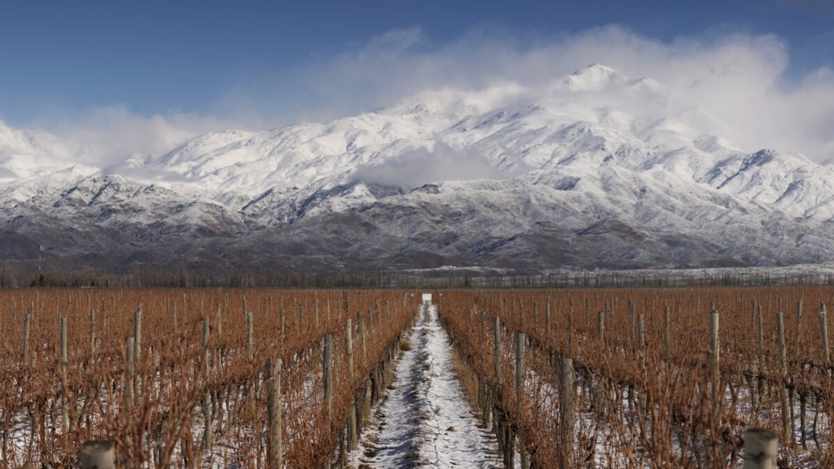 A água como luxo na viticultura de Mendoza