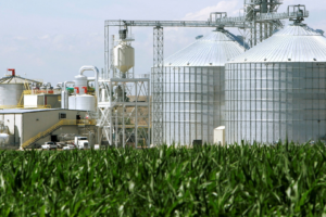Estudo do Chatham House e FSC alerta para riscos ambientais e alimentares associados à expansão acelerada do setor
