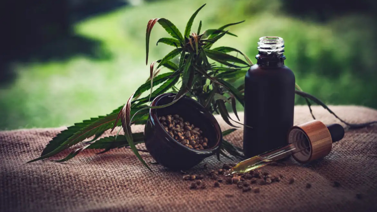 Para Associações, Normas Ainda Deixam Pontos em Aberto sobre Cannabis