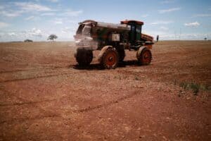 Plantio de Soja no Paraná Atinge 28% e Registra Ritmo Mais Forte em 8 Anos