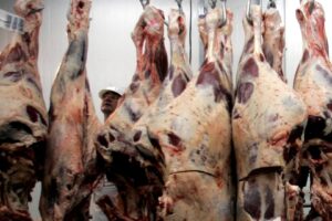 Tyson Foods Reduz Projeção de Lucro para US$ 1,8 Bilhão por Causa da Crise no Setor Bovino