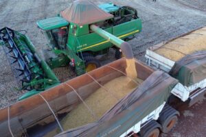 Plantio de Soja no Brasil Atinge 3,4% da Área com Impulso do Paraná