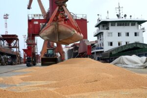 Exportação de Soja para a China Recua em Agosto, Mas Acumulado do Ano Avança