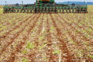 Plantio de Soja Atinge 0,4% da Área do País Impulsionado Pelo Paraná e Mato Grosso
