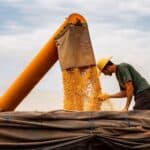 Forbes Mulher Agro: O Brasil Já Provou Que Sabe Produzir. E o Próximo Governo?