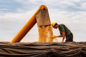 Forbes Mulher Agro: O Brasil Já Provou Que Sabe Produzir. E o Próximo Governo?