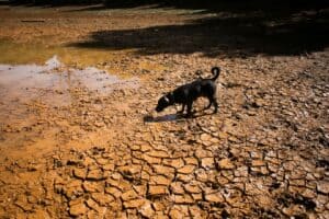 China Prevê Evento de "Super El Niño" Mais Intenso da História