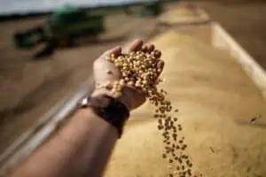 Lei do Seguro Rural Promete Estabilidade, Apesar de Vetos