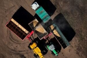 Processamento de Soja na Argentina em Agosto Atinge 4,3 Milhões de Toneladas