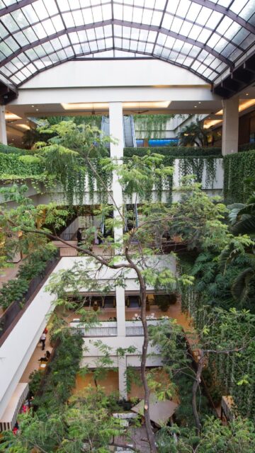 Dois dos maiores CRIs da carteira do KNCR11 estão atrelados à JHSF, dona do Shopping Cidade Jardim (foto), concentrando 6,8% do portfólio
