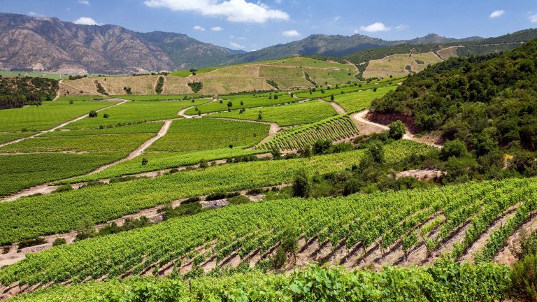 Santiago Será a Primeira Sede da América Latina do The World’s 50 Best Vineyards 2026