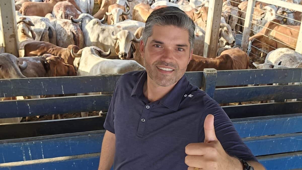 Vacas pastejando em área irrigada por pivô central na Agropecuária Vale do Castanhão