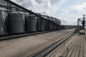 A consultoria Ikar estima exportações russas de trigo de 3 milhões de toneladas no mês, das quais 1,8 milhão passariam pelos portos do Báltico