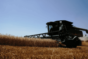 Bolsa de Comércio de Rosário elevou sua estimativa para a safra de trigo para 23,8 milhões de toneladas. Colheita começa em novembro