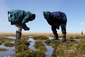 Dos 252 milhões de hectares atualmente em restauração, 192,2 milhões de hectares estão na Ásia, liderados pela China com 127,4 milhões de hectares