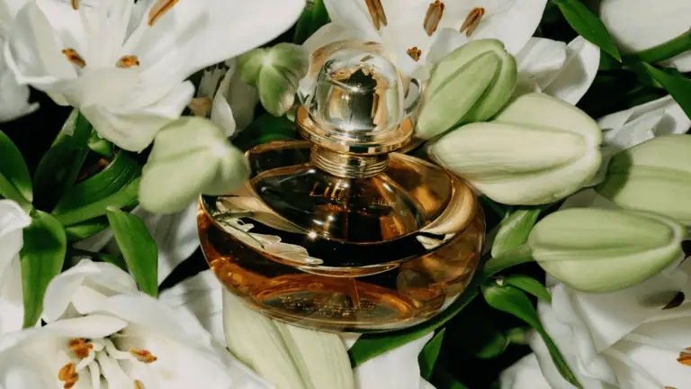 Lily Elixir