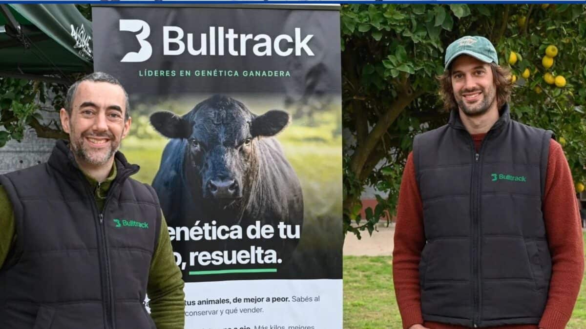 Bulltrack: Genômica e IA na Pecuária Argentina