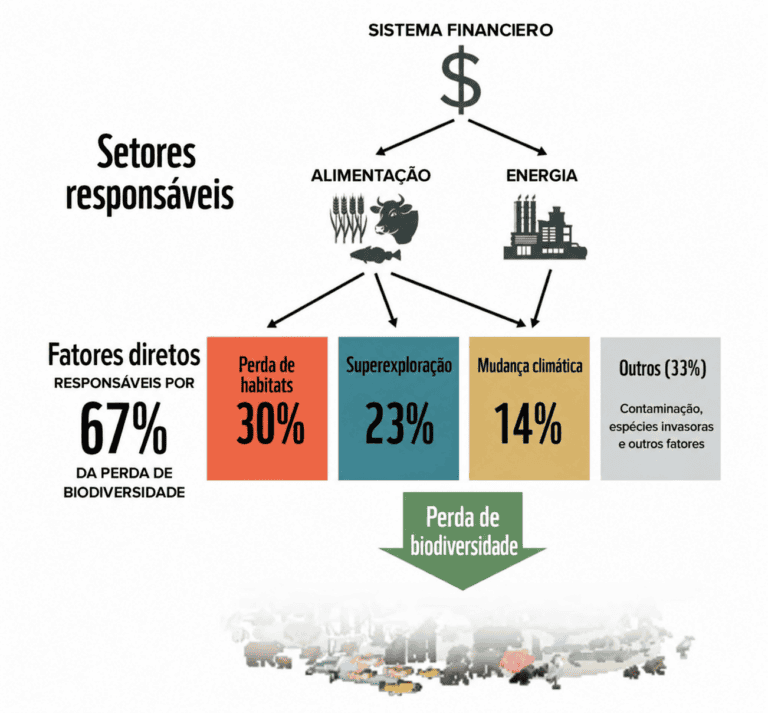 Perda de Biodiversidade Ameaça a Economia Mundial: Metade do PIB Depende da Natureza, Segundo o WWF
