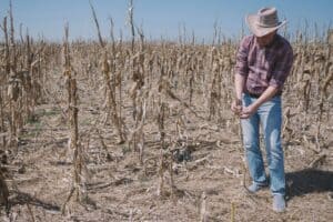 A Agricultura entre o Excesso e a Falta. Como Produzir sob Extremos Climáticos