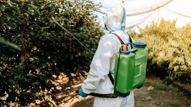 Bunge Encerra Atividades em Unidade Fabril e Critica Abertura Comercial para Importados