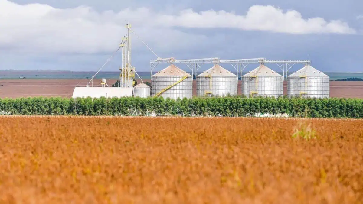 Recuperação Judicial no Agro Cai 20,7% no 2º Trimestre de 2026, Aponta Serasa