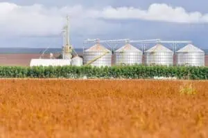 Recuperação Judicial no Agro Cai 20,7% no 2º Trimestre de 2026, Aponta Serasa