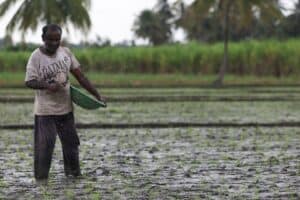 Índia Afirma Que Acordo Comercial com EUA Preservará Interesses de Agricultores