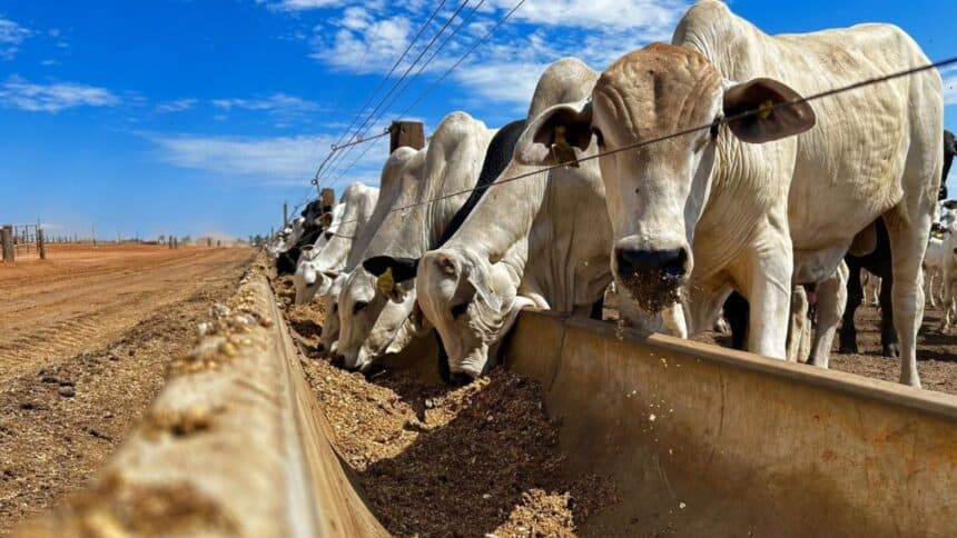 Proteína Animal e Insumos Impulsionam Faturamento Recorde no Agro100 2026