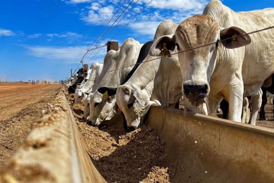 Proteína Animal e Insumos Impulsionam Faturamento Recorde no Agro100 2026