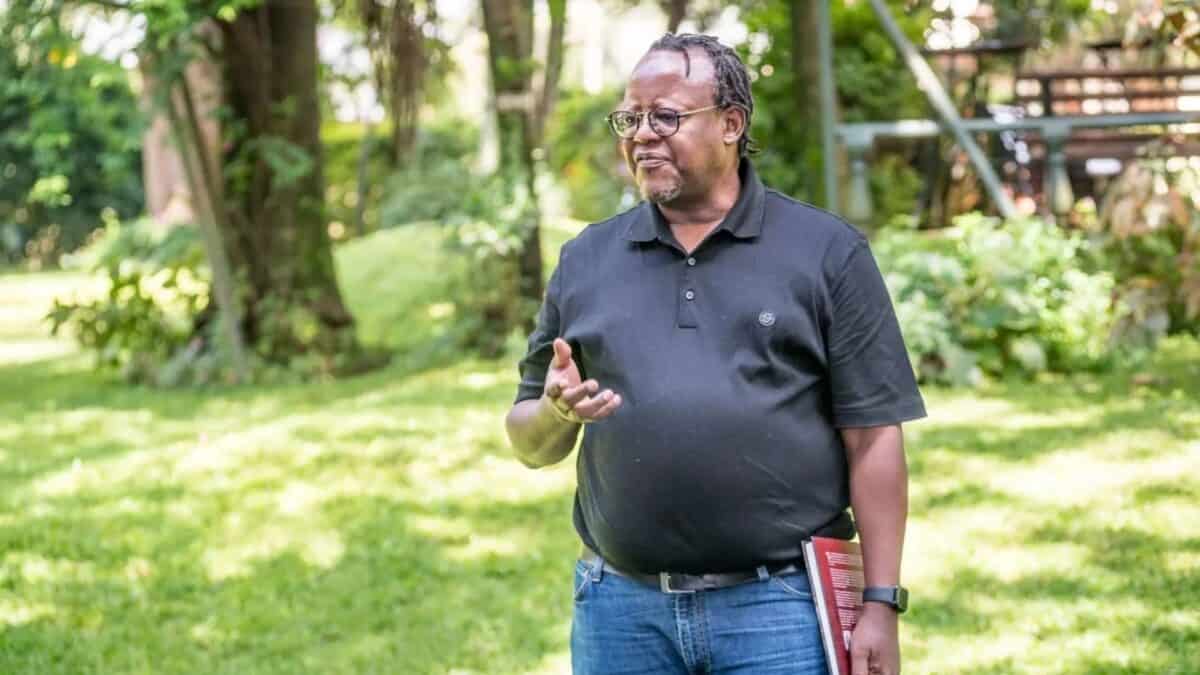 Fazenda de café transformada em destino turístico no Quênia