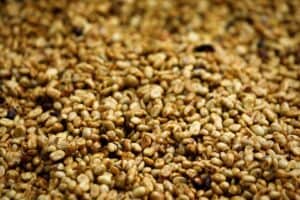 Estoques de Café Verde Despencam no Japão e na Europa em Agosto
