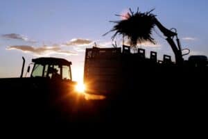 Chuvas no Brasil e El Niño Global Elevam Açúcar Bruto Ao Maior Patamar em 19 Meses