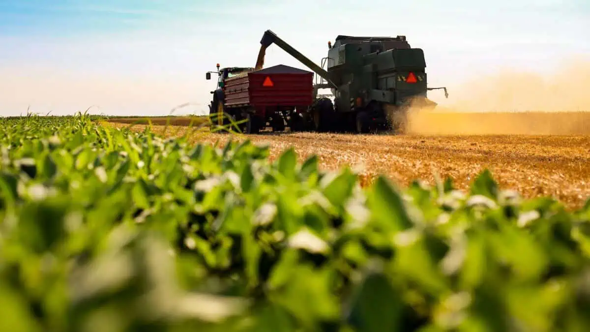 5 Fatos Que Mostram Como o Agro Pode Ajudar o Brasil a Ser 8ª Maior Economia do Mundo em 2027
