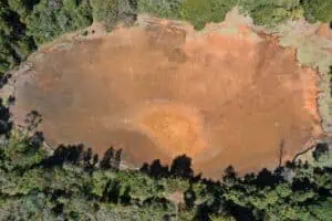 Colômbia e Finlândia Lideram Aliança para Revisar US$ 500 Bilhões em Subsídios Nocivos À Biodiversidade