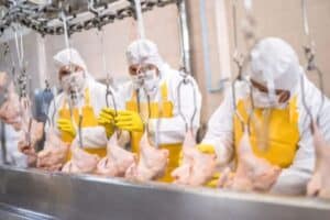 Embarques de Frango Avançam 3,7% em Setembro Impulsionados Pela União Europeia
