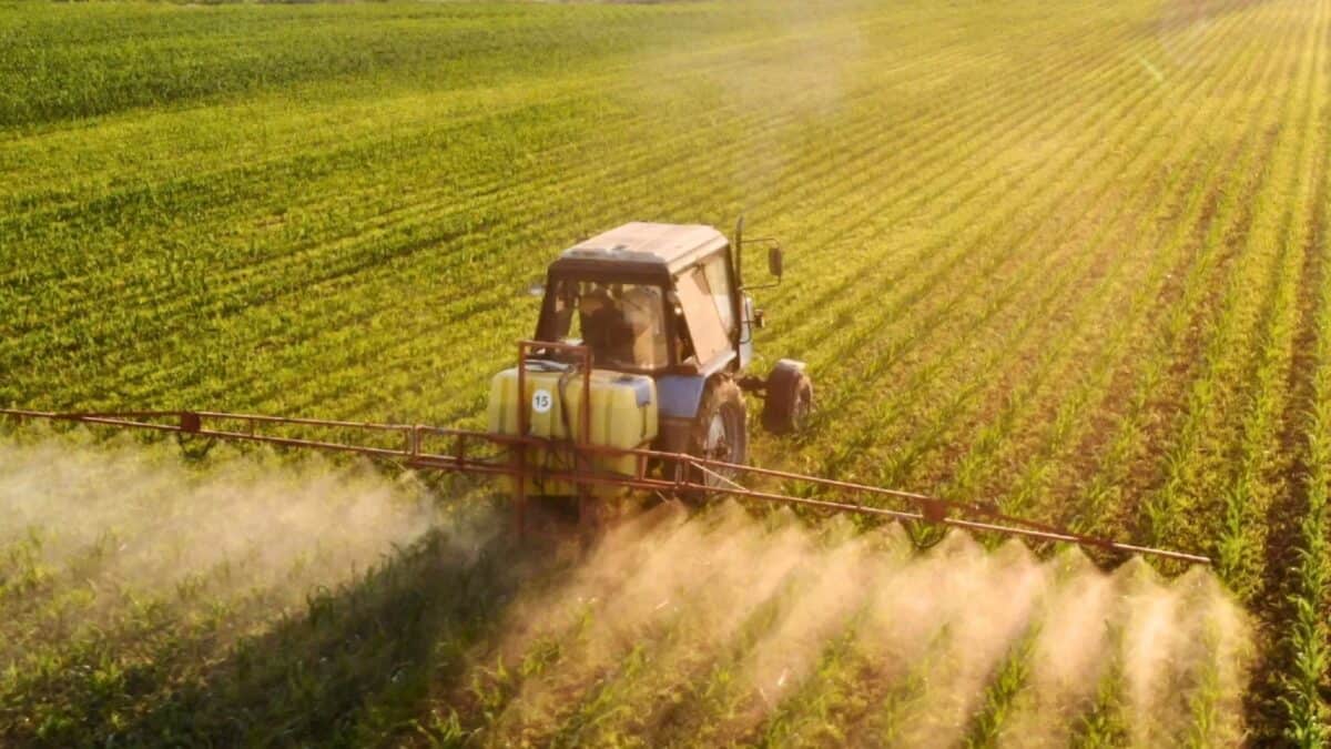 Gráfico mostrando fluxo de crédito rural e preços de fertilizantes no Equador
