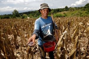 Probabilidade de El Niño Histórico até Início de 2027 Passa de 83%, Diz Agência Americana
