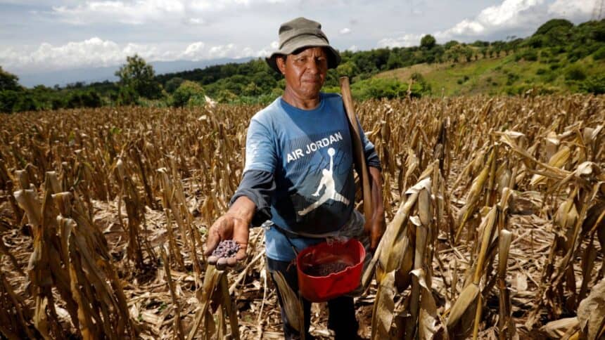 Probabilidade de El Niño Histórico até Início de 2027 Passa de 83%, Diz Agência Americana