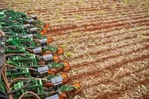 Plantio da Safra de Soja 2026/27 Atinge 40% da Área no Brasil