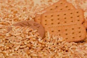 Embrapa Diz Que Triticale no Cerrado Tem Potencial para Substituir o Trigo na Indústria de Alimentos